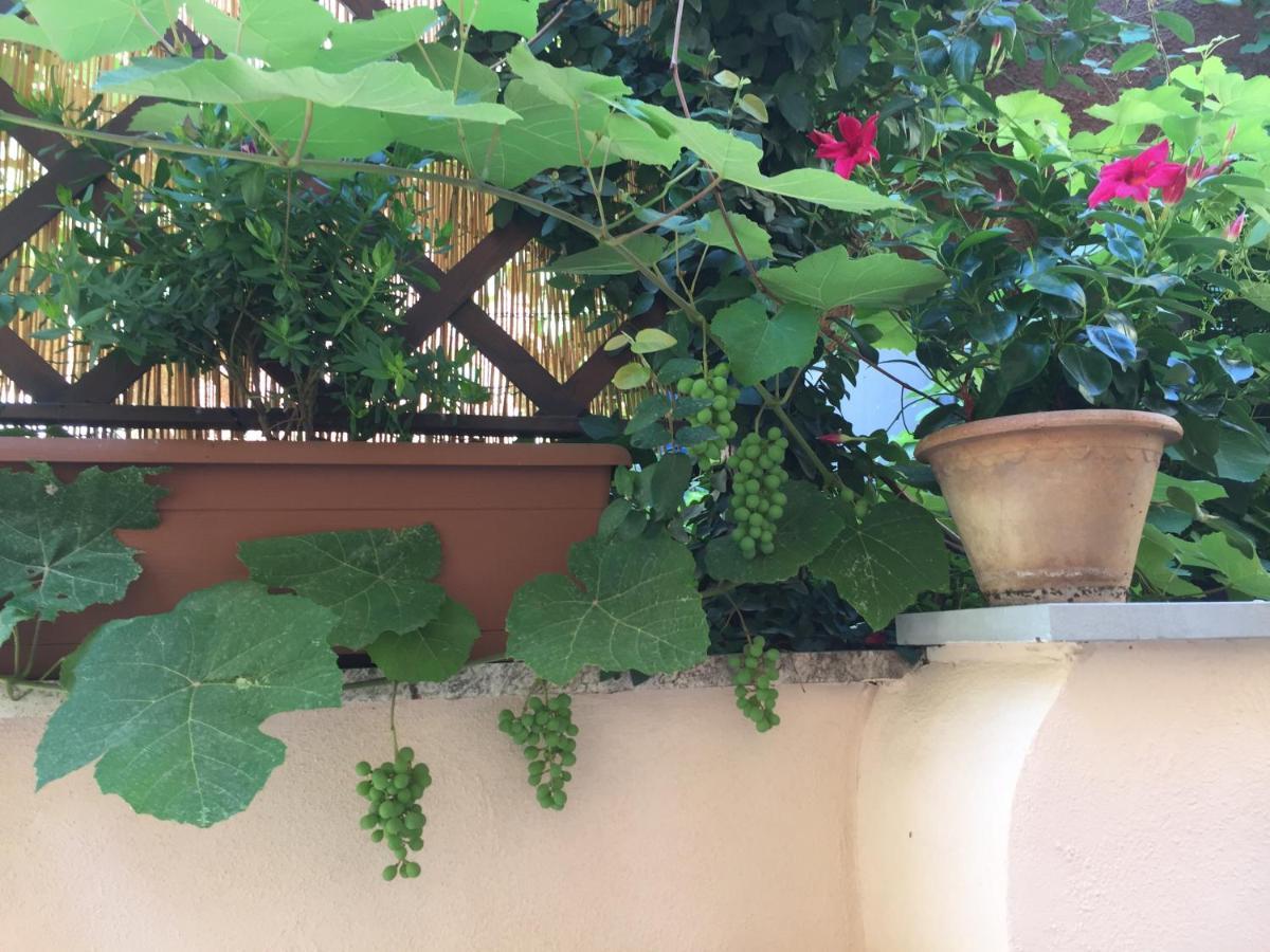 Testaccio Historic House Roma Exterior foto