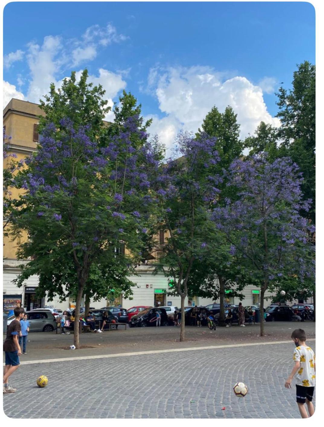 Testaccio Historic House Roma Exterior foto